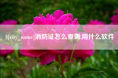 汉川消防证怎么查询,用什么软件