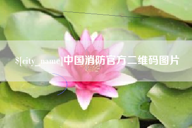 汉川中国消防官方二维码图片