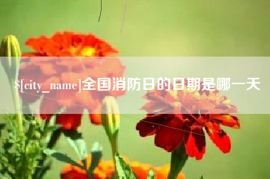 汉川全国消防日的日期是哪一天