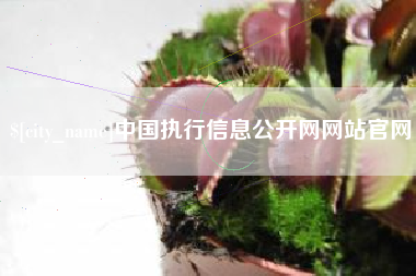 汉川中国执行信息公开网网站官网