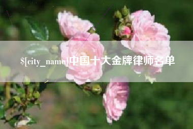 汉川中国十大金牌律师名单