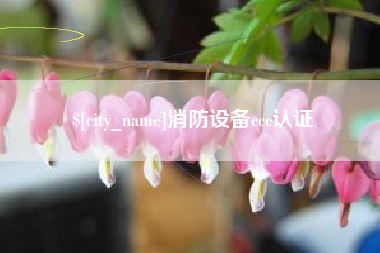 汉川消防设备ccc认证