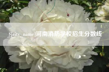 汉川河南消防学校招生分数线
