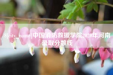 汉川中国消防救援学院2020年河南录取分数线