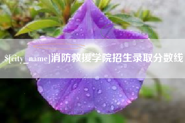 汉川消防救援学院招生录取分数线