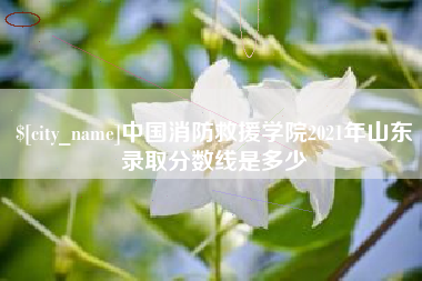 汉川中国消防救援学院2021年山东录取分数线是多少