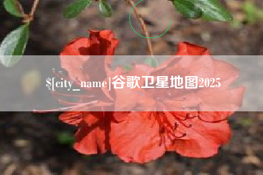 汉川谷歌卫星地图2025