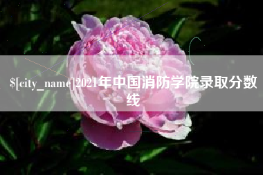 汉川2021年中国消防学院录取分数线