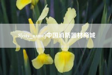 汉川中国消防器材商城