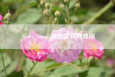 汉川消控证官网查询