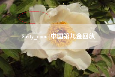 汉川中国第九金回放