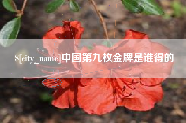 汉川中国第九枚金牌是谁得的