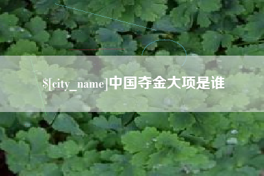 汉川中国夺金大项是谁