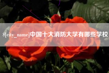 汉川中国十大消防大学有哪些学校
