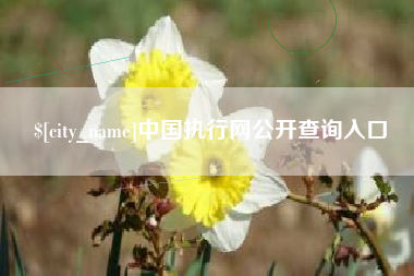 汉川中国执行网公开查询入口