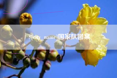汉川国家队图案