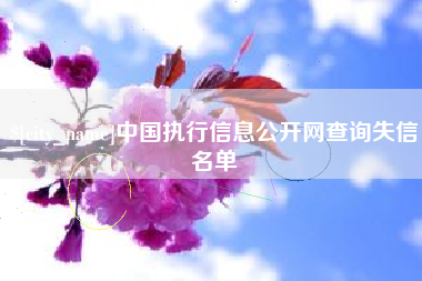 汉川中国执行信息公开网查询失信名单