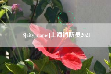 汉川上海消防员2021