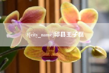 汉川邱县王子磊