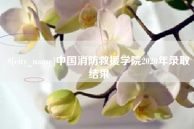 汉川中国消防救援学院2020年录取结果
