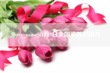 汉川11月9日全国消防日图片