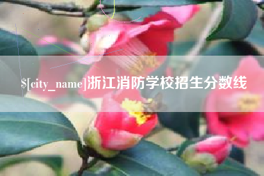 汉川浙江消防学校招生分数线
