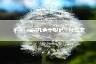 汉川九金十银是干什么的