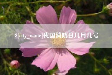 汉川我国消防日几月几号