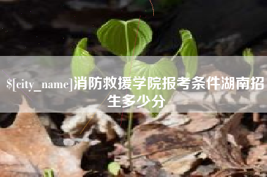 汉川消防救援学院报考条件湖南招生多少分