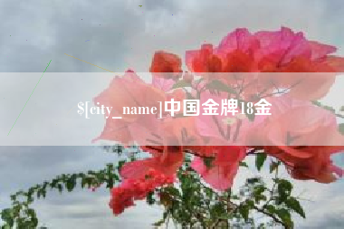 汉川中国金牌18金