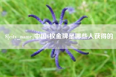 汉川中国6枚金牌是哪些人获得的