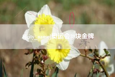 汉川奥运会39块金牌