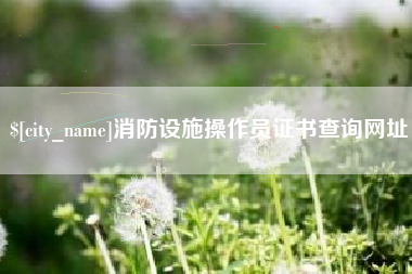汉川消防设施操作员证书查询网址
