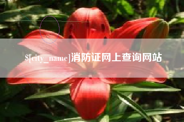 汉川消防证网上查询网站