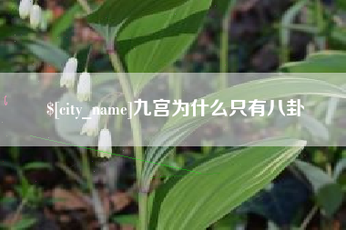 汉川九宫为什么只有八卦