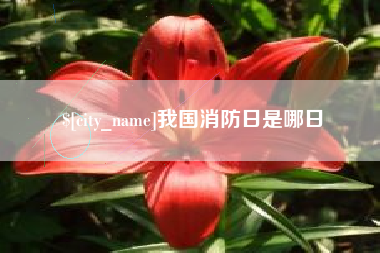 汉川我国消防日是哪日
