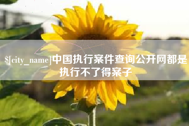汉川中国执行案件查询公开网都是执行不了得案子