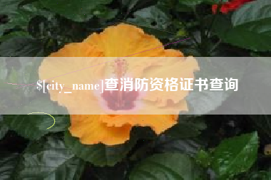 汉川查消防资格证书查询