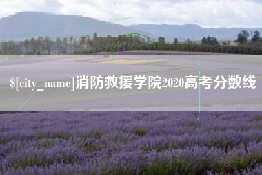 汉川消防救援学院2020高考分数线