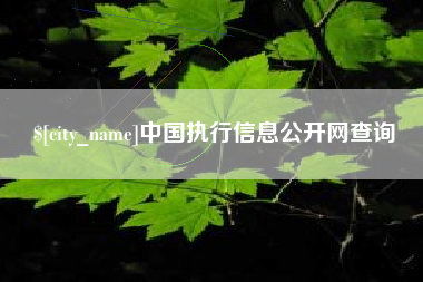 汉川中国执行信息公开网查询