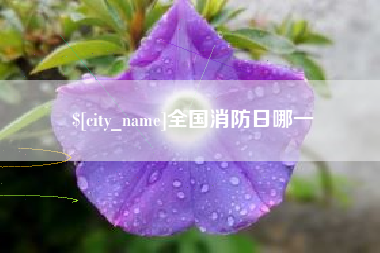 汉川全国消防日哪一