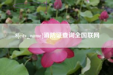 汉川消防证查询全国联网