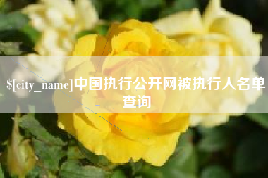 汉川中国执行公开网被执行人名单查询