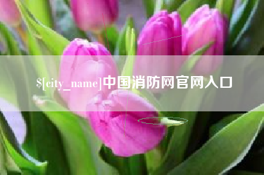 汉川中国消防网官网入口