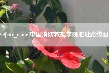 汉川中国消防救援学院地址路线图