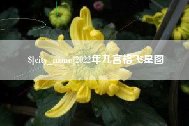 汉川2022年九宫格飞星图