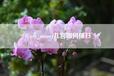 汉川九宫如何排日