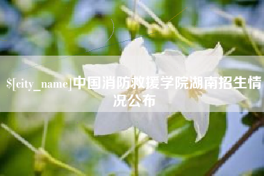 汉川中国消防救援学院湖南招生情况公布