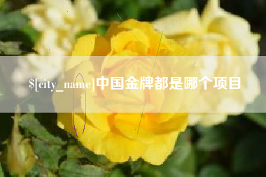 汉川中国金牌都是哪个项目
