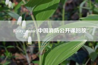 汉川中国消防公开课回放